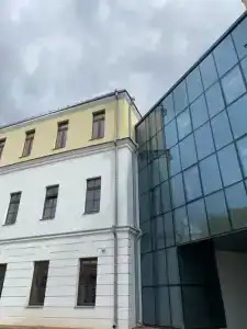 The Basilian Minsk, Curio Collection By Hilton - 52