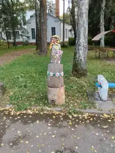 Красный Бор - 61