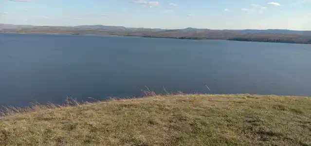 Лесные эльфы - 16