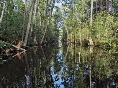 Белое озеро - 21