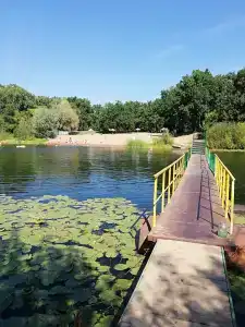 Стрежень - 30