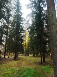 Рубин - 97