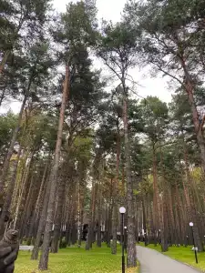 Лукоморье - 40