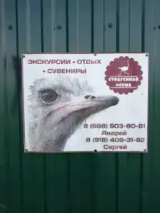 Страусиное ранчо - 18