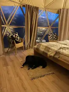 Мир Алтай - 35