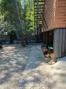 МАНГО - 4