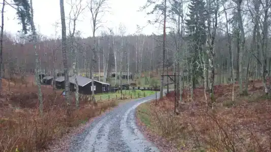 Глэмпинг Camp Rock - 8