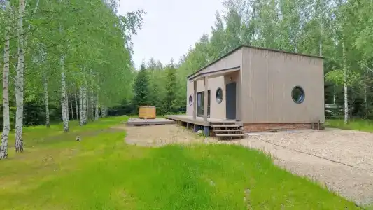 Саф - 41