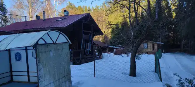 Динамо - 33