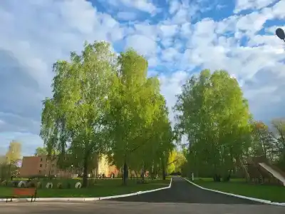 Полушкино - 32