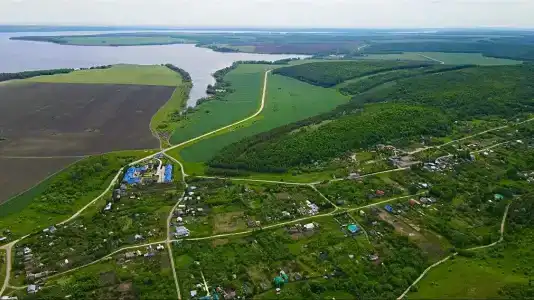 Дом Жар-Птицы - 21