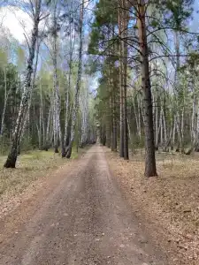 ForestHouse Лесной домик - 58