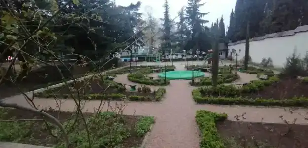 Магнолия - 48
