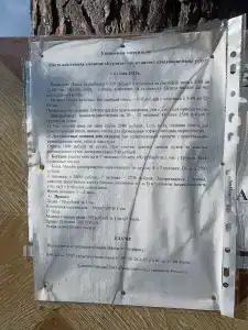 Бурдиха - 9