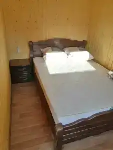 Тюльпан - 0