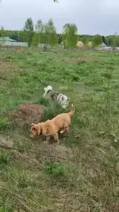 Утро на заводи - 52