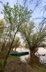 Жара - 36