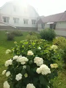 Благовест - 3