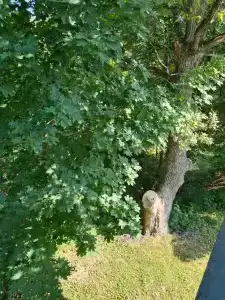 Новое Уручье - 10