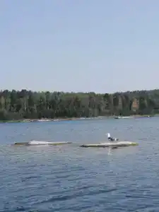 Сосенка - 22