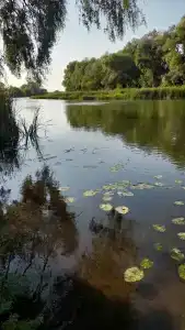 Васькины Домики - 5