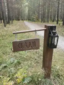 Хижина в лесу - 9