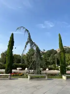 Zeg - 15