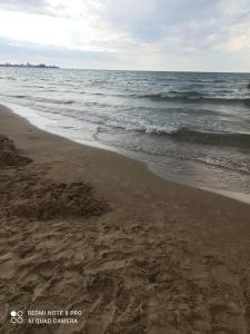 Власовых - 46