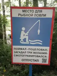 Неясыть - 27