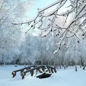 Заимка - 35