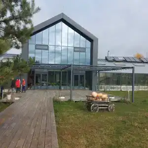 ЯсноПоле - 80