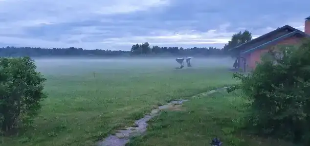 Королевская охота - 47