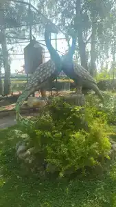 Ихтиолог - 20