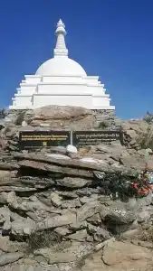 Вилла Малина - 41