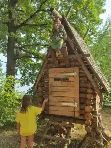 Хвойный бор - 36
