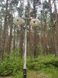 Дюны - 17