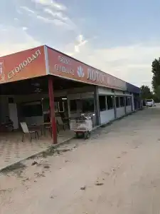 Лотос - 8