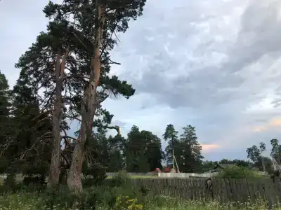 Заповедный - 2