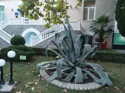 Пограничник - 13