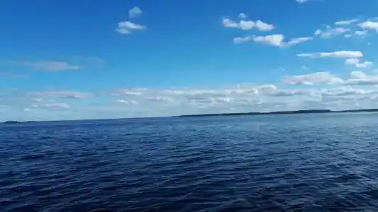 Ровское - 31