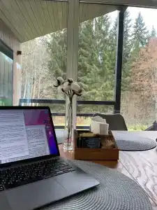 Хвойный Лес - 44