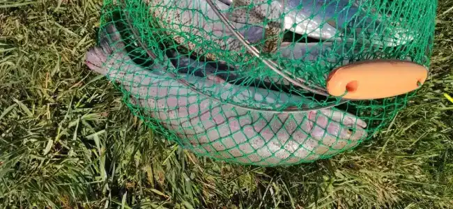 Ихтиолог - 52