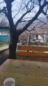 База отдыха у Иваныча - 19