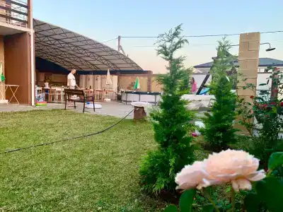 Жемчужина - 15