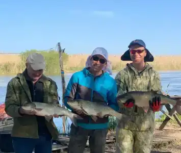 Флотраскат - 39