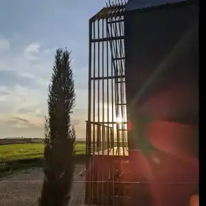 Фридом Веселовка - 57