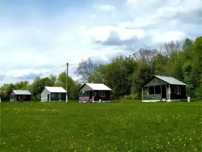 Бояринцево - 77