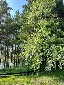 Богослово - 59