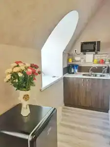 Ирис - 2