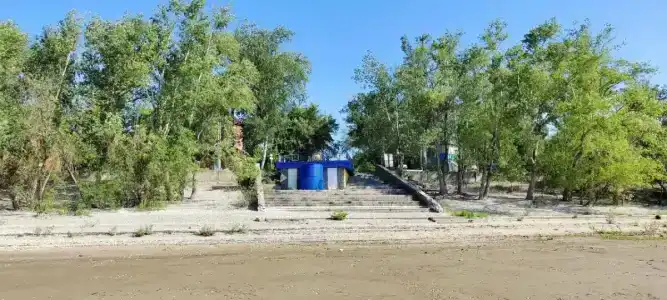 Росинка - 31
